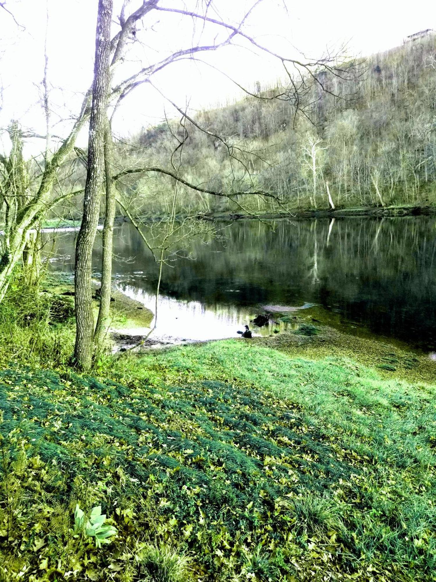 White River Resort Rv Rentals Lakeview Luaran gambar